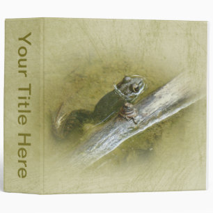 American Bullfrog - Rana catesbeiana 3 Ring Binder