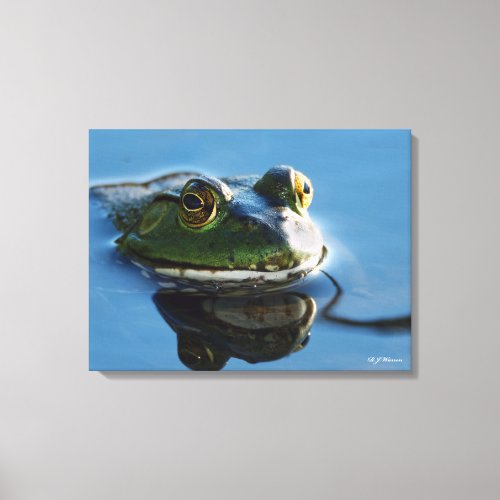 American Bullfrog With Reflection 18x24 Canvas Print