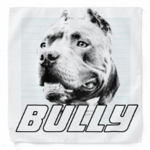 clothes for bully breeds