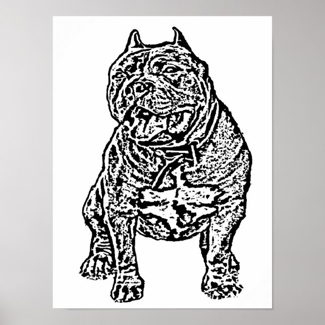 American Bully Dog Poster (Front)
