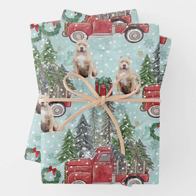 American bully dog Red Christmas Truck Festive Wrapping Paper Sheets (In situ)