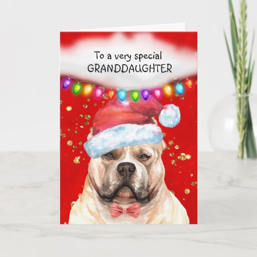 American bully granddaughter cute Xmas wishes Card