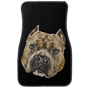 american bully accessories