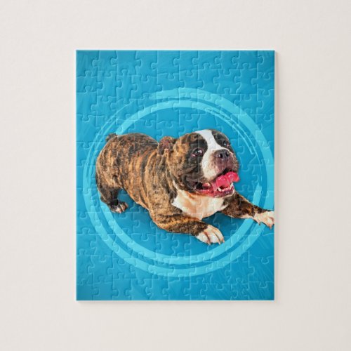 American Bully Puppy Jigsaw Puzzle