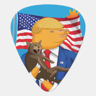 American Catastrophe Guitar Pick