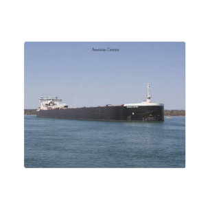 American Century metal print
