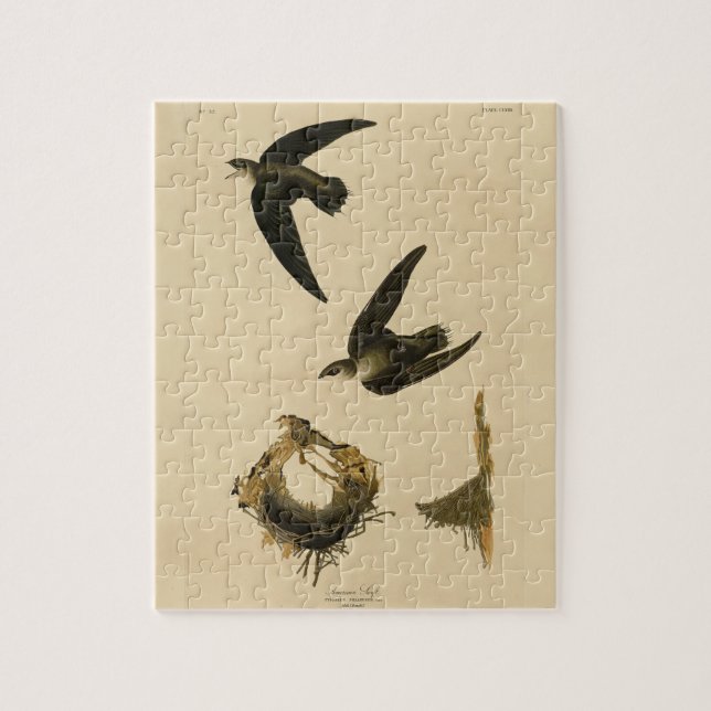 American (Chimney) Swift Audubon, Birds of America Jigsaw Puzzle (Vertical)