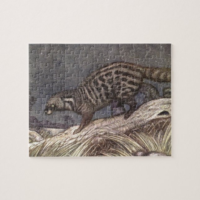 American Civet by Louis Sargent, Vintage Animals Jigsaw Puzzle (Horizontal)