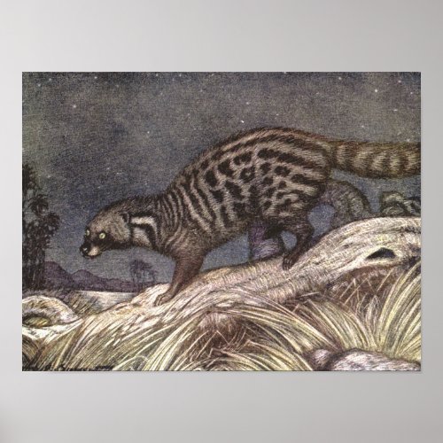 American Civet by Louis Sargent Vintage Animals Poster