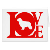 American Cocker Spaniel (Front Horizontal)