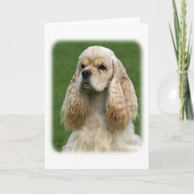 American Cocker Spaniel 9Y244D-035_2 Card (Front)