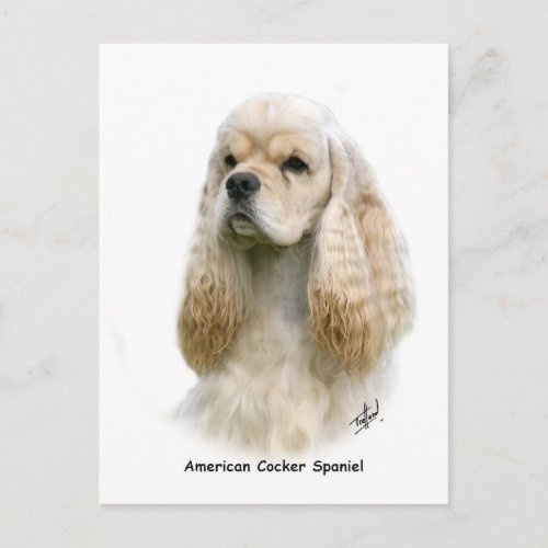 American Cocker Spaniel 9Y244D_035 Postcard