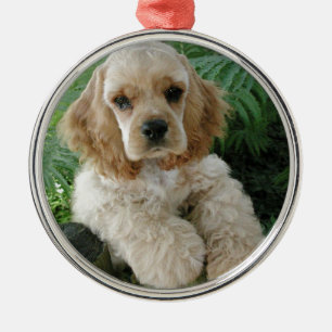American Cocker Spaniel Dog And The Green Fern Metal Ornament