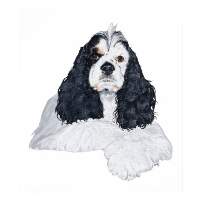 american_cocker_spaniel_poster-p228696800890278840trma_400.jpg