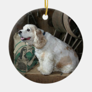 american cocker spaniel sitting ceramic ornament