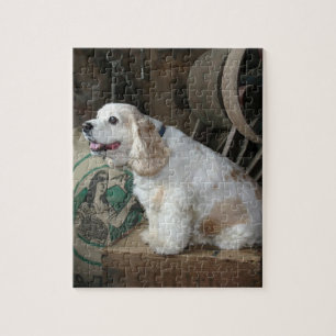 american cocker spaniel sitting jigsaw puzzle