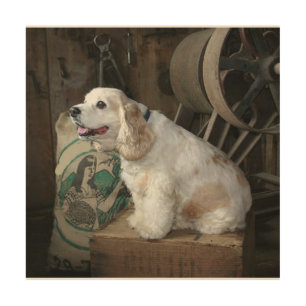 american cocker spaniel sitting wood wall art