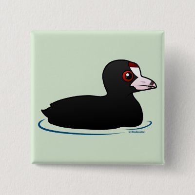 American Coot Button