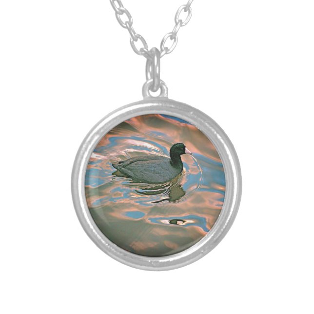 American Coot Swimming in a Pond Silver Plated Necklace (Front)
