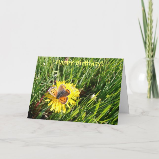 American Copper Butterfly "Happy Birthday" card (Front)