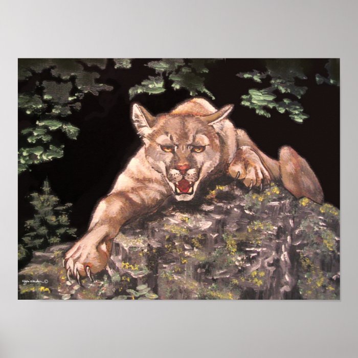 American Cougar Print