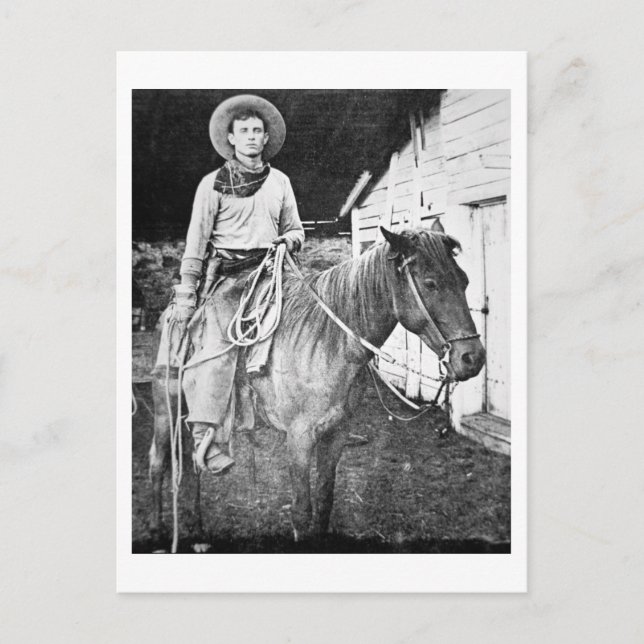 American cowboy in Kansas, c.1880 (b/w photo) Postcard (Front)