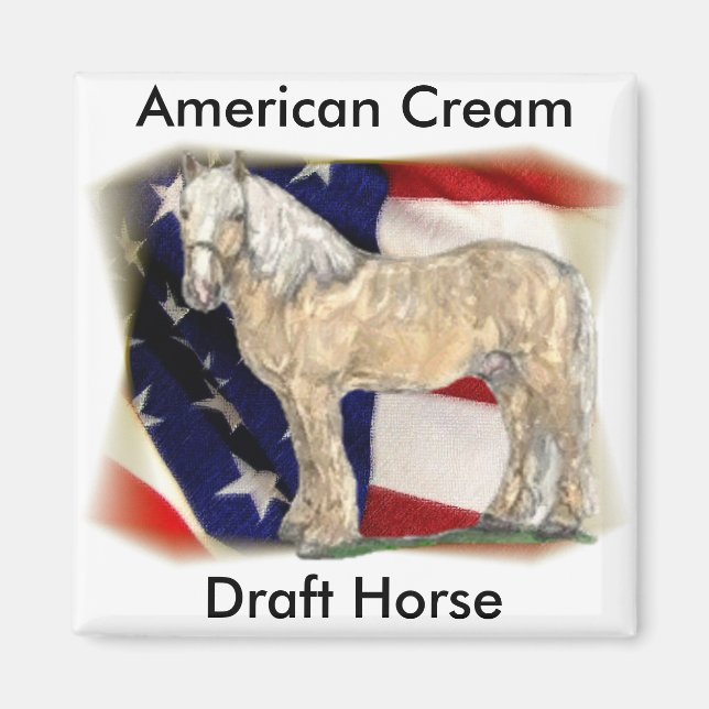 American Cream Horse Magnet (Front)