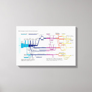 American Criminal Justice System Process Flowchart Canvas Print