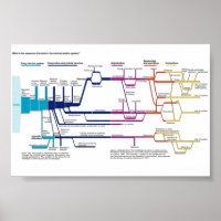 American Criminal Justice System Process Flowchart