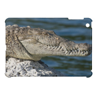 American Crocodile Cover For The iPad Mini
