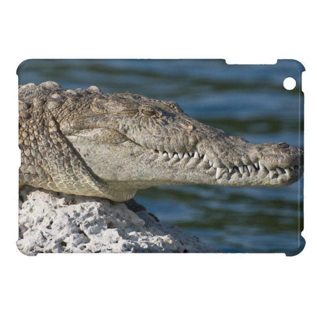 American Crocodile Cover For The iPad Mini (Back Horizontal)