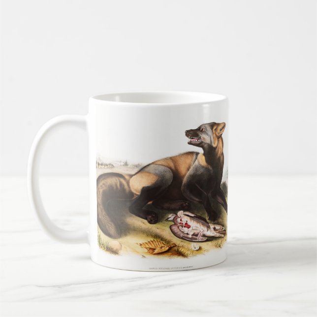 American Cross Fox (Canis vulpes) Illustration Coffee Mug (Left)