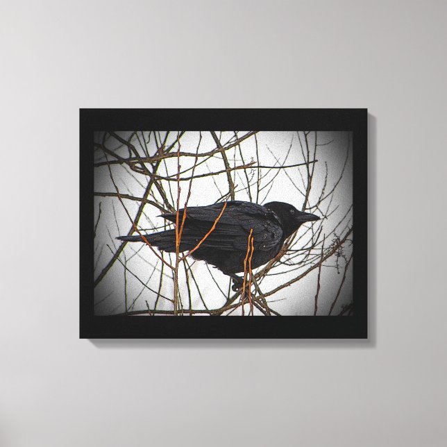 American Crow Canvas Print (Front)