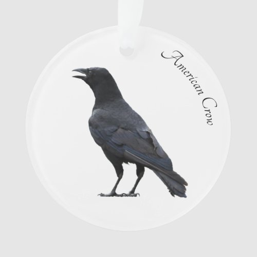 American Crow Ornament