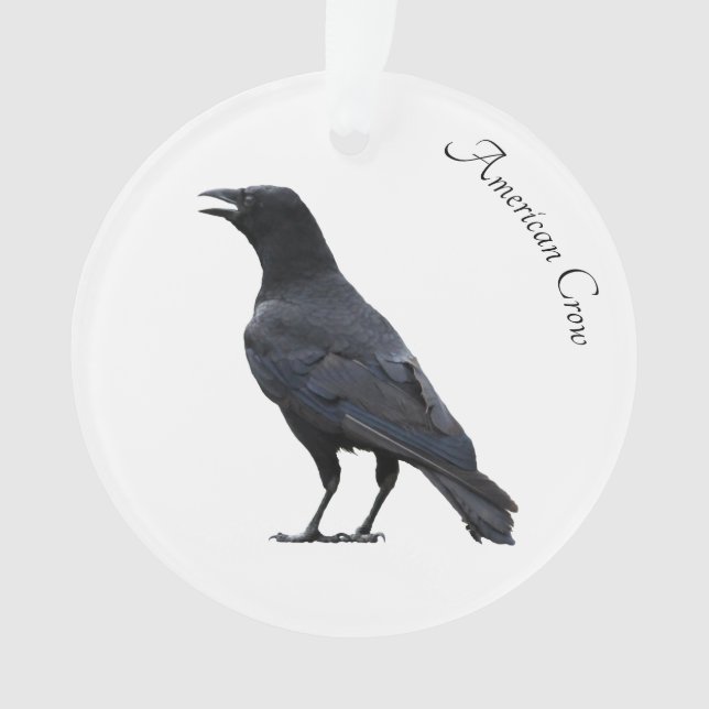American Crow Ornament (Front)