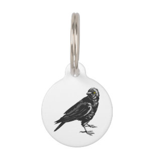 American Crow Pet ID Tag