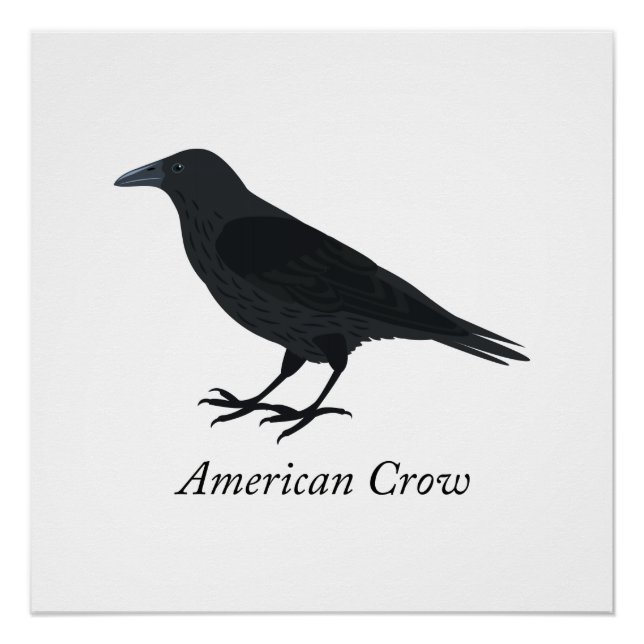 American Crow Poster (Front)