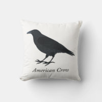 American Crow