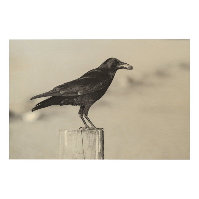 American Crow Wood Wall Art (Front)