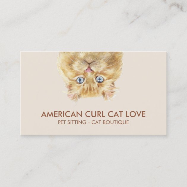 American Curl Cat Business Card