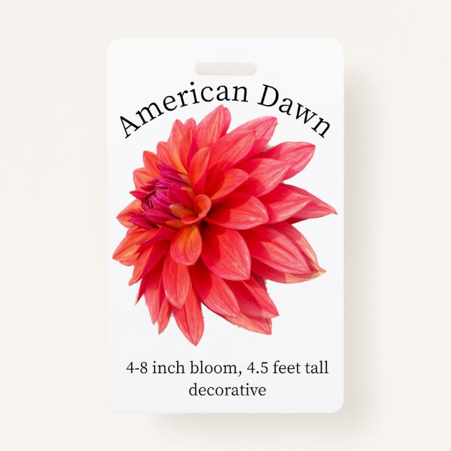 American Dawn Dahlia ID Badge (Front)