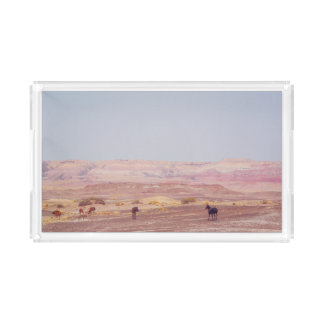 American Desert Horses P8670 Acrylic Tray