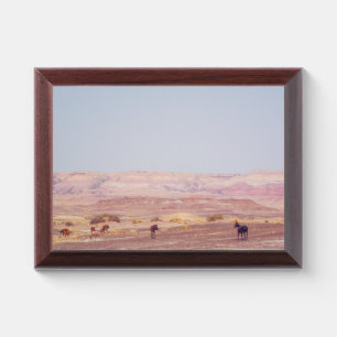 American Desert Horses P8670 Award Plaque