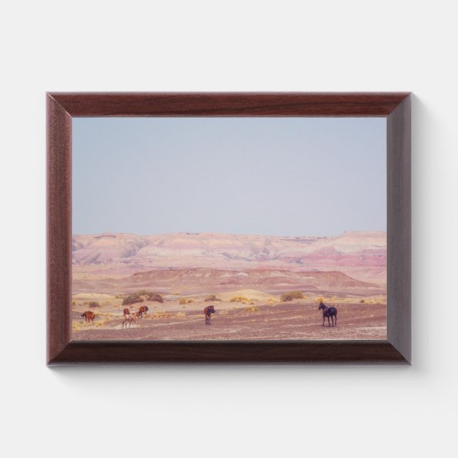American Desert Horses P8670 Award Plaque (Horizontal)