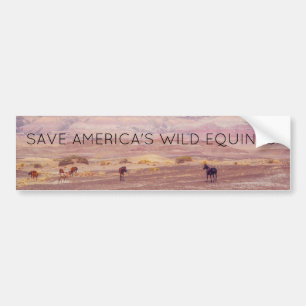 American Desert Horses P8670 Bumper Sticker