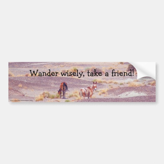 American Desert Horses P8670 Bumper Sticker (Front)