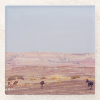 American Desert Horses P8670 Glass Coaster