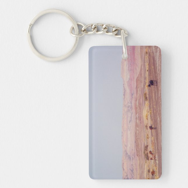 American Desert Horses P8670 Keychain (Front)