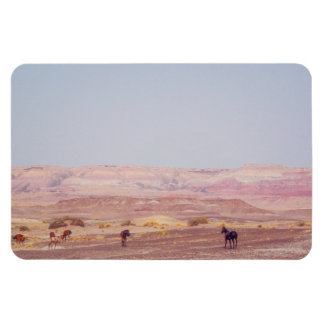 American Desert Horses P8670 Magnet
