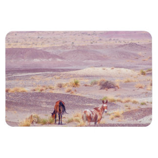 American Desert Horses P8670 Magnet